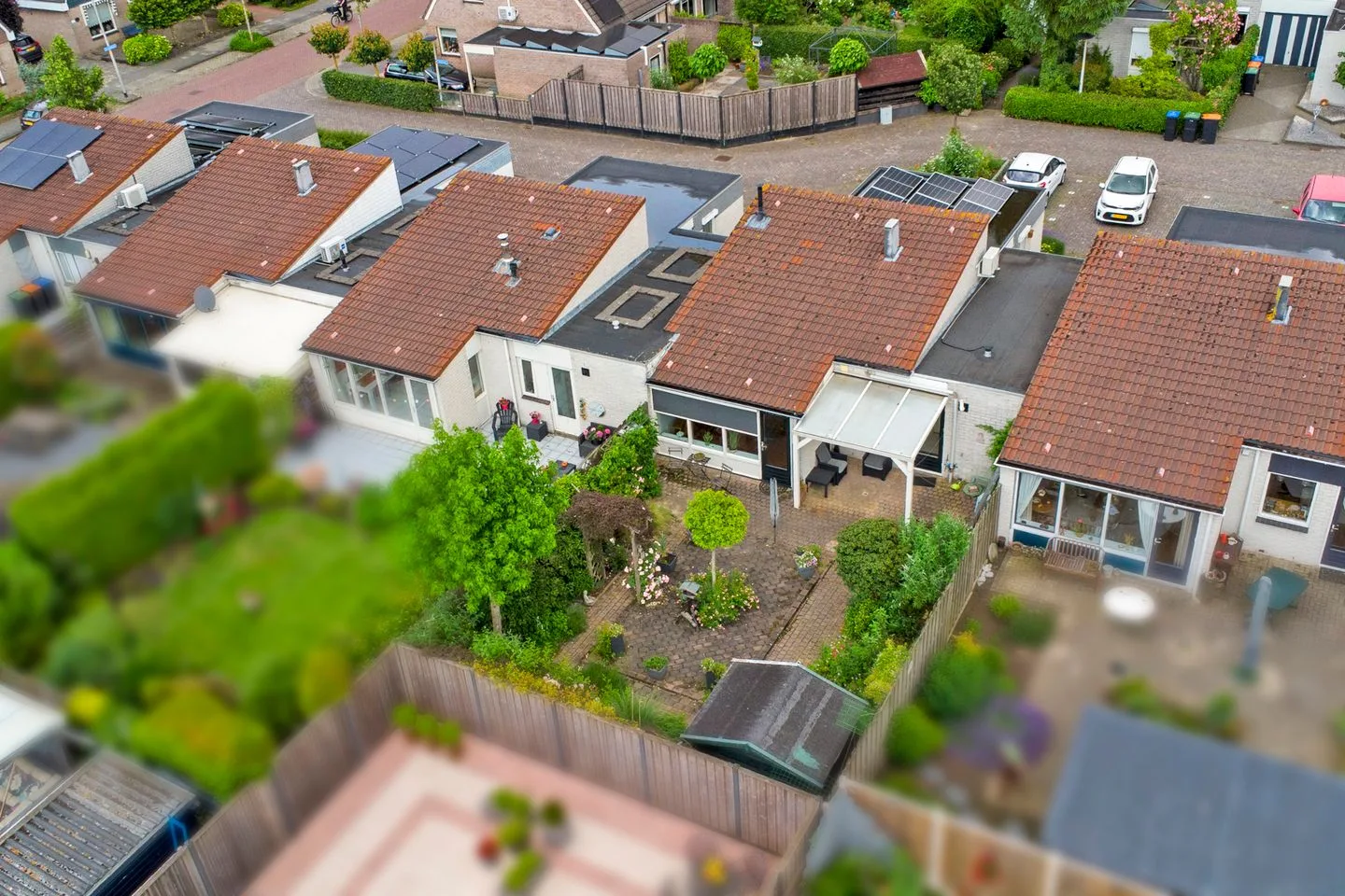 Basilicum 4 Dronten thumbnail 30
