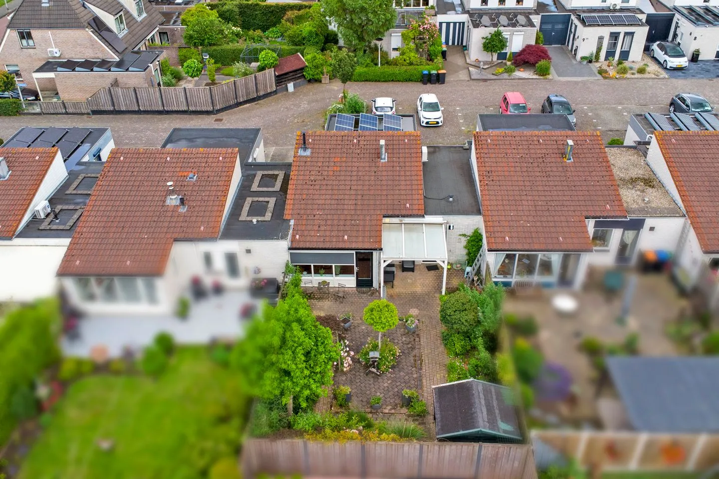 Basilicum 4 Dronten thumbnail 31