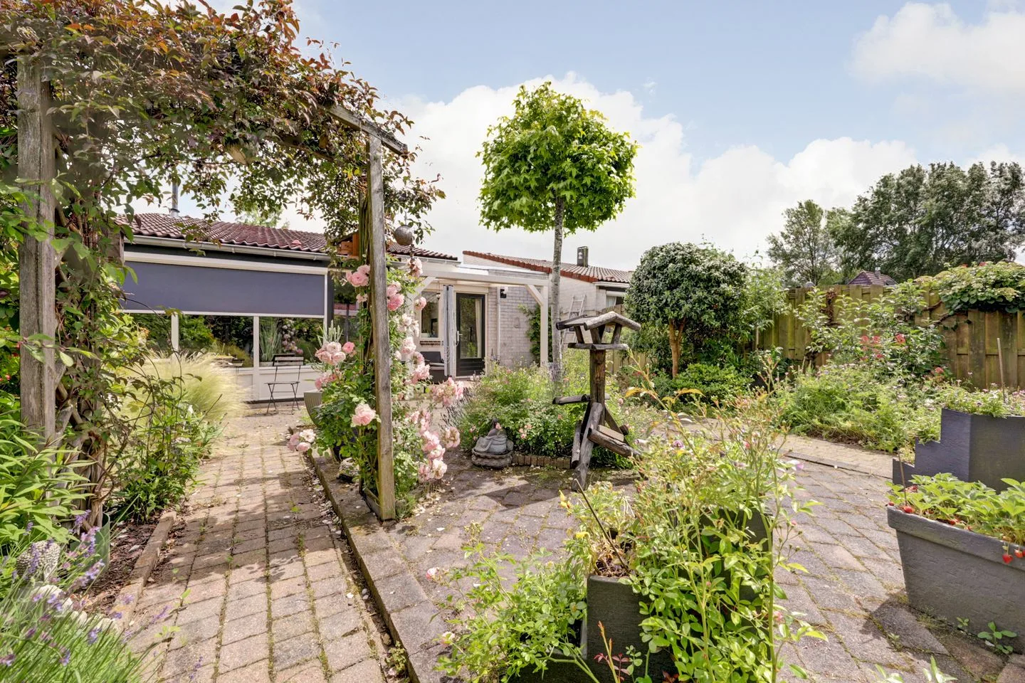 Basilicum 4 Dronten thumbnail 32
