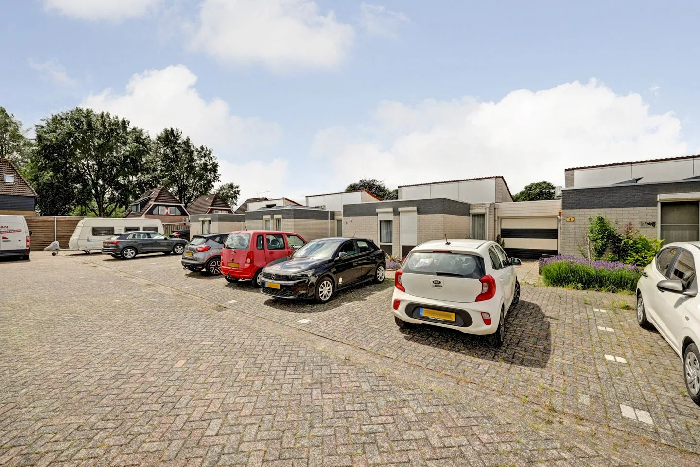 Basilicum 4 Dronten thumbnail 36