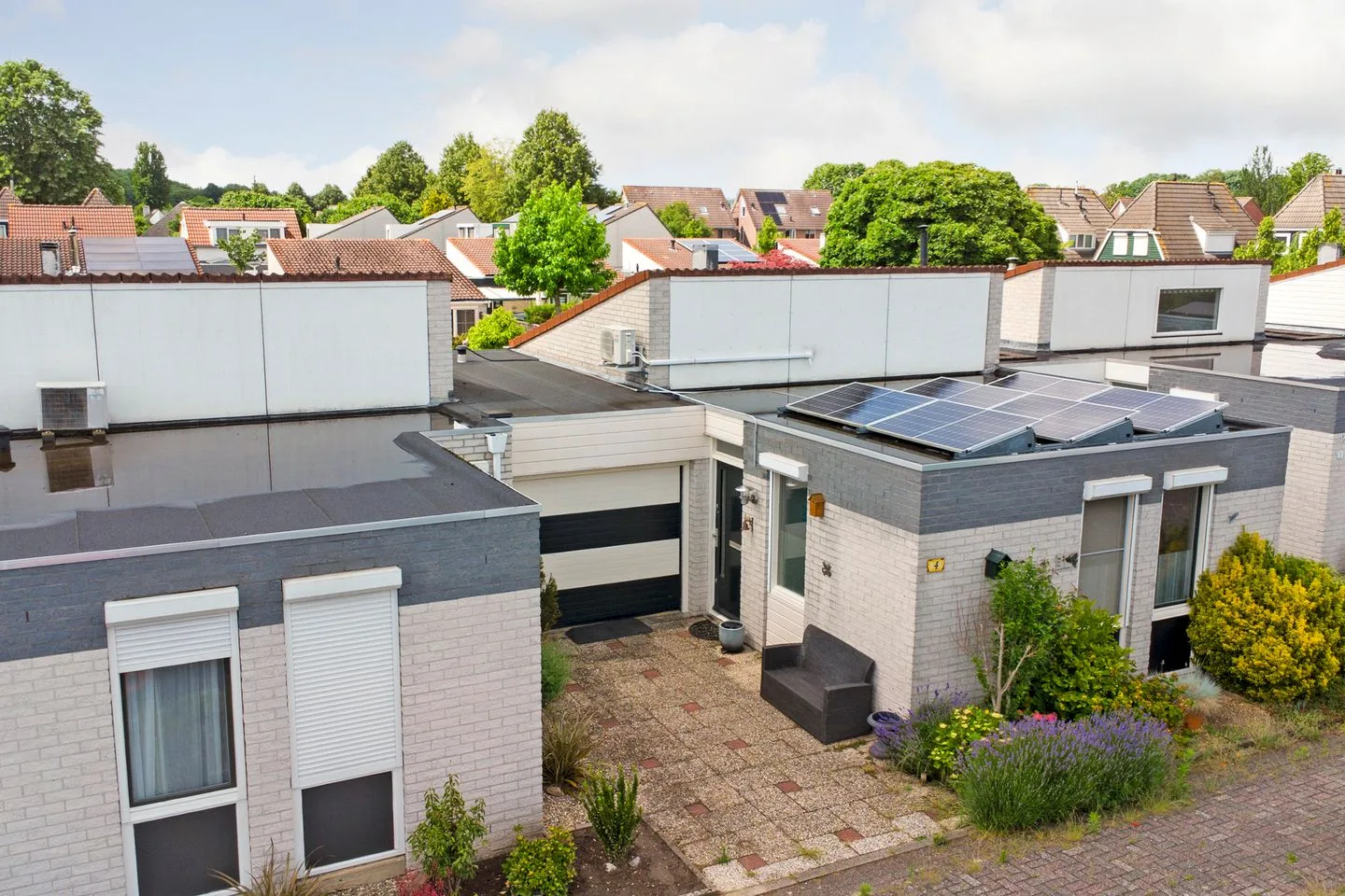 Basilicum 4 Dronten thumbnail 5