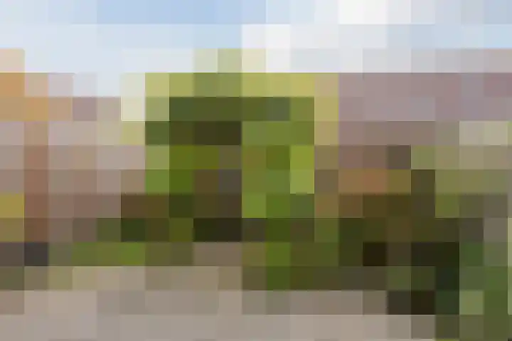 Basilicumhof 19 Voorhout thumbnail 26