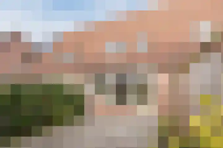 Basilicumhof 19 Voorhout thumbnail 27