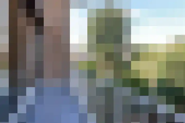 Basilicumhof 28 Duivendrecht thumbnail 19