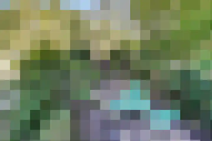 Basilicumhof 28 Duivendrecht thumbnail 20