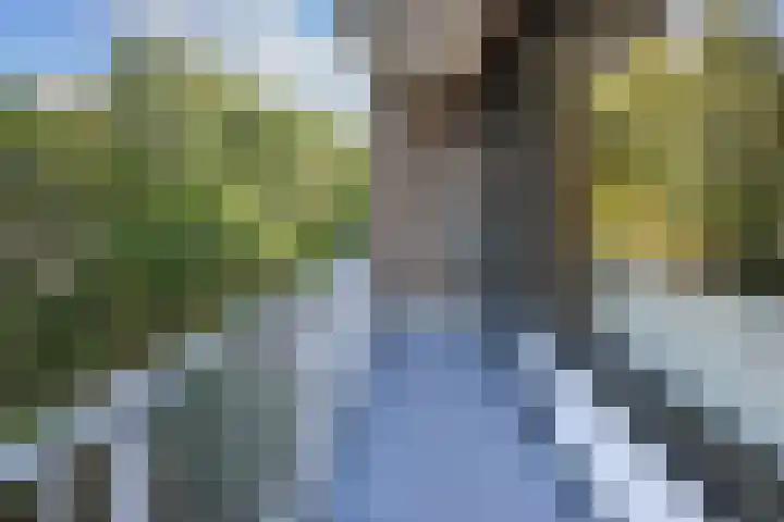 Basilicumhof 28 Duivendrecht thumbnail 21