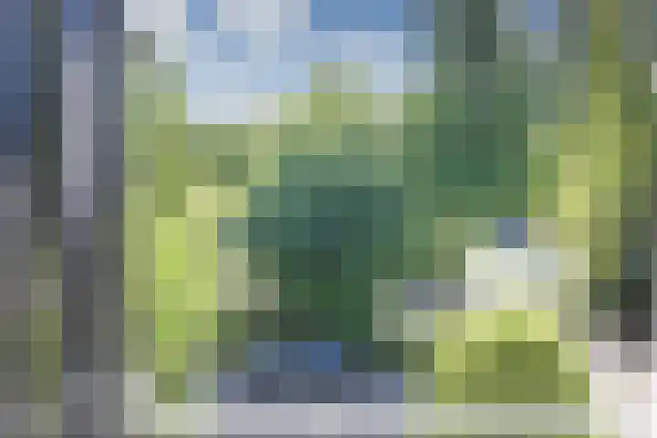 Basilicumhof 28 Duivendrecht thumbnail 42