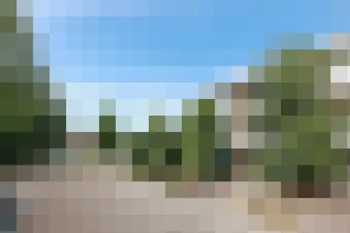 Basilicumhof 28 Duivendrecht thumbnail 57
