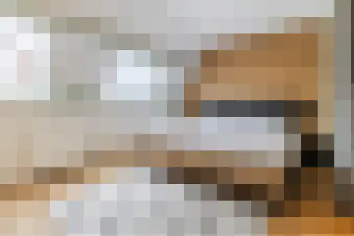 Basilicumhof 33 Voorhout thumbnail 13