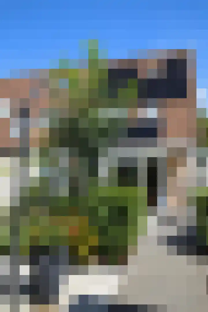Basilicumhof 33 Voorhout thumbnail 37
