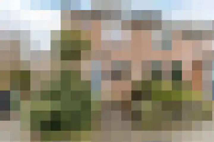 Basilicumhof 33 Voorhout thumbnail 39