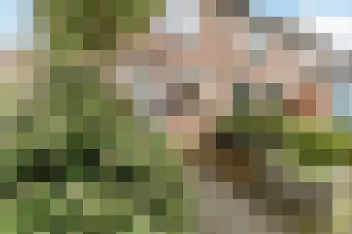 Basilicumhof 33 Voorhout thumbnail 40