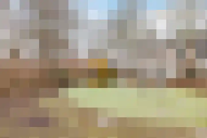 Basilicumhof 33 Voorhout thumbnail 44