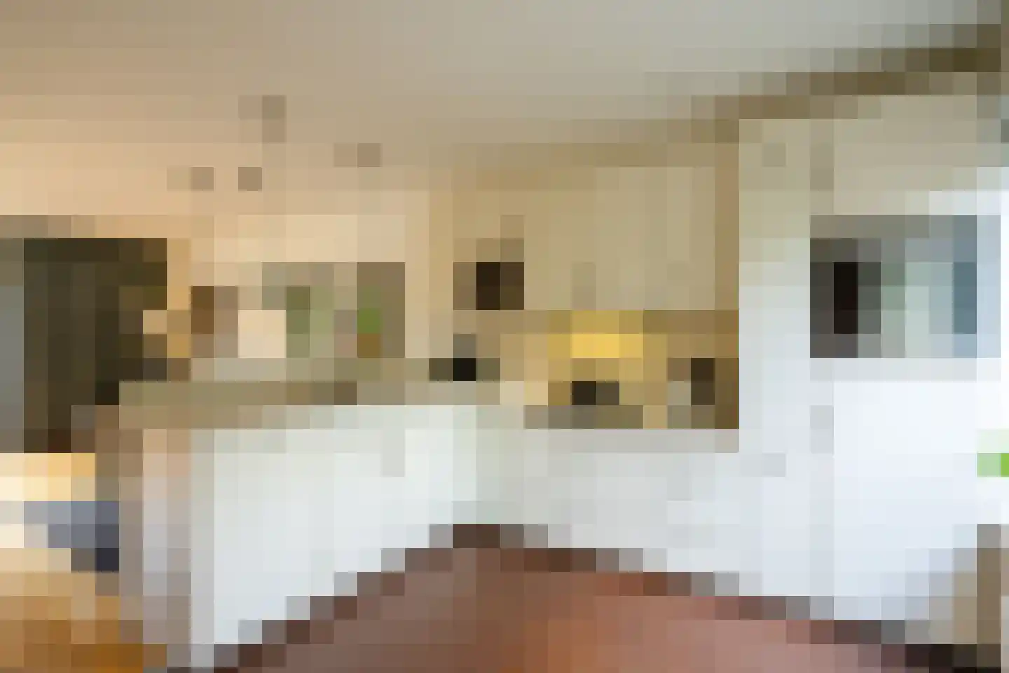 Basilicumhof 34 Duivendrecht thumbnail 10