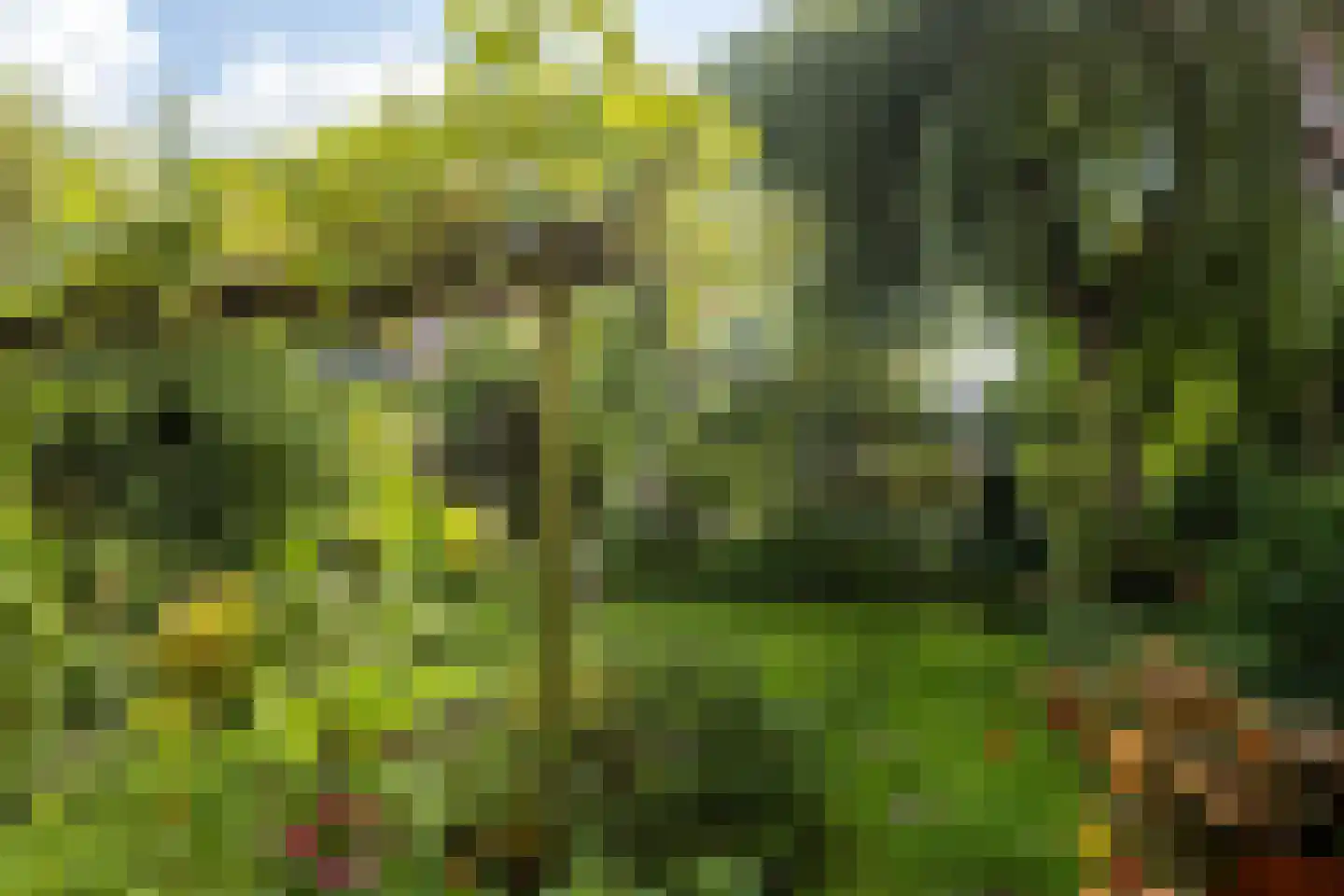 Basilicumhof 34 Duivendrecht thumbnail 15
