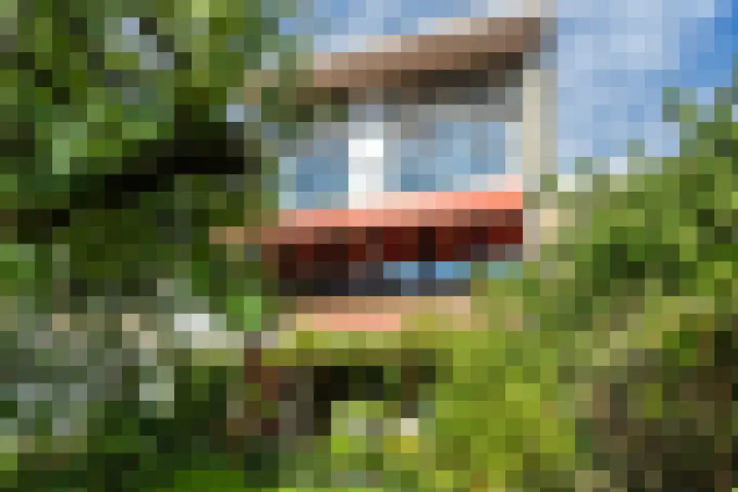 Basilicumhof 34 Duivendrecht thumbnail 18