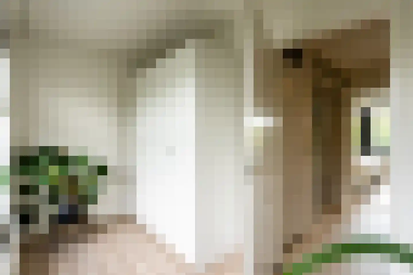 Basilicumhof 34 Duivendrecht thumbnail 27