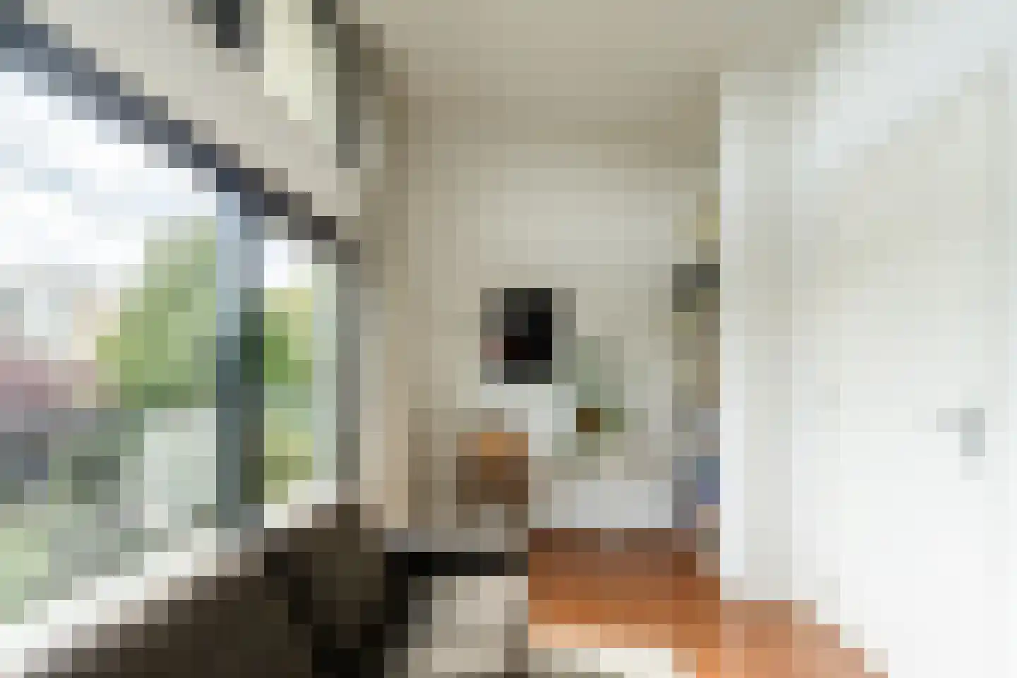 Basilicumhof 34 Duivendrecht thumbnail 35