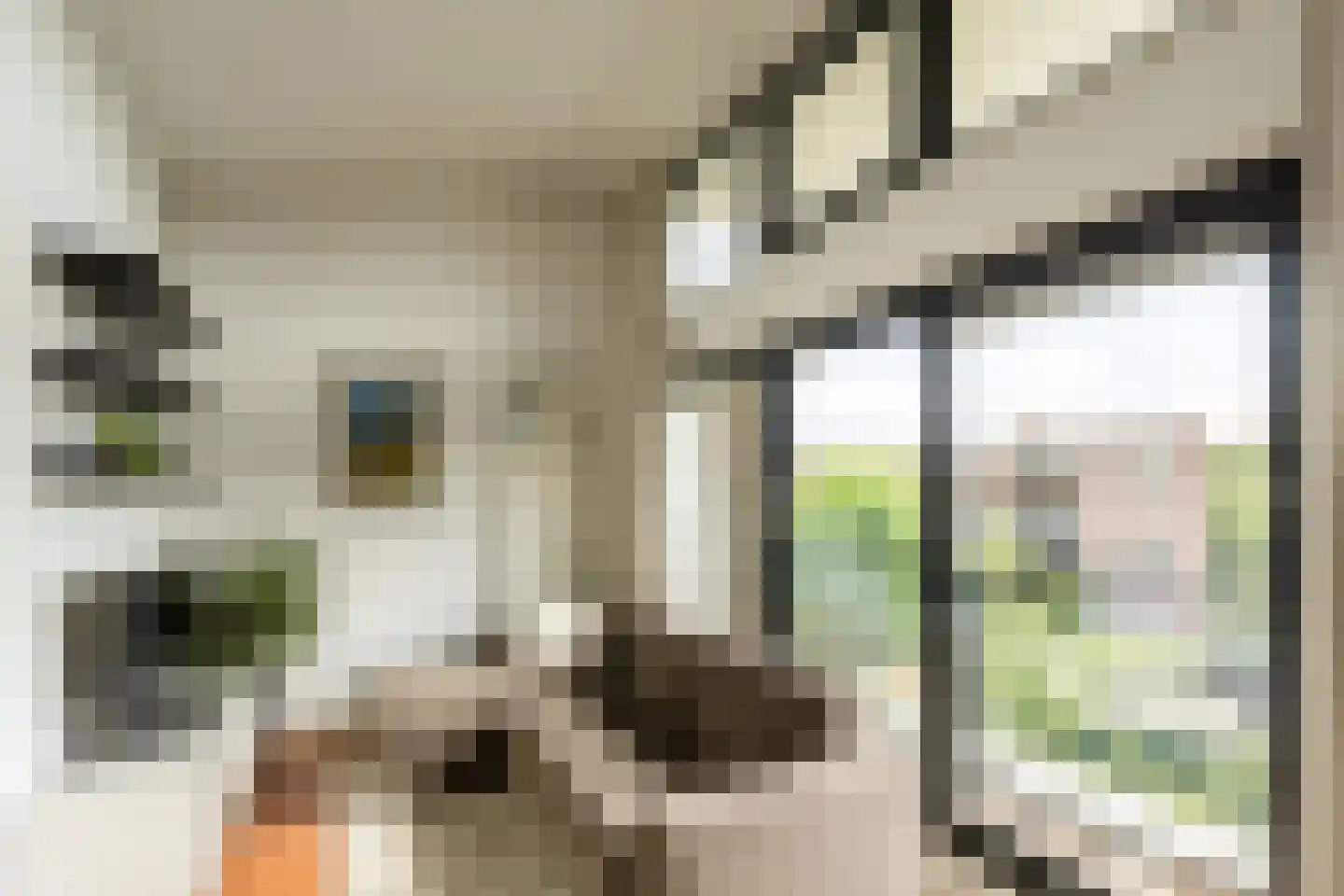 Basilicumhof 34 Duivendrecht thumbnail 36