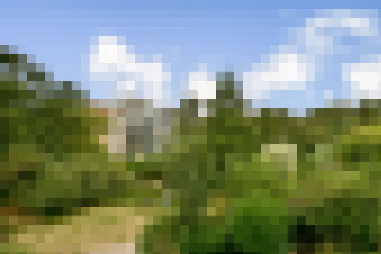 Basilicumhof 39 40 Duivendrecht thumbnail 39