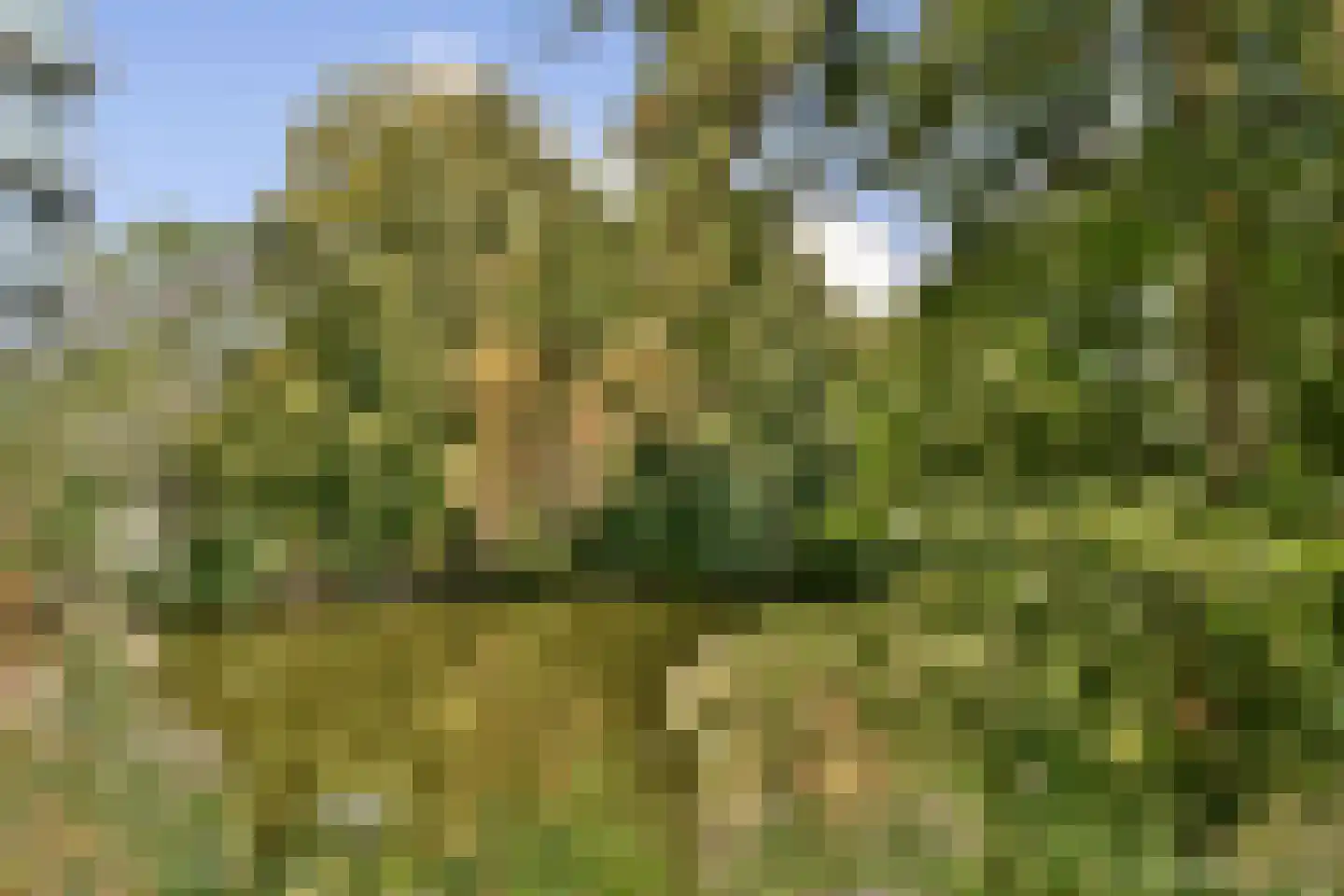 Basilicumhof 39 Duivendrecht thumbnail 37