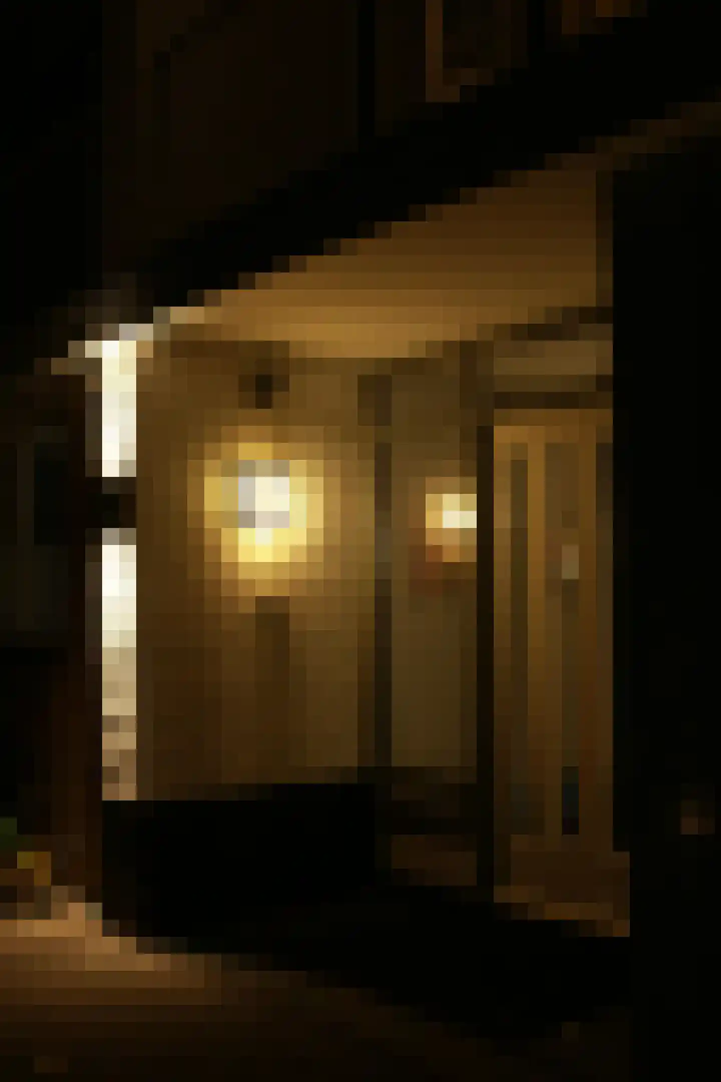 Basilicumhof 39 Duivendrecht thumbnail 41