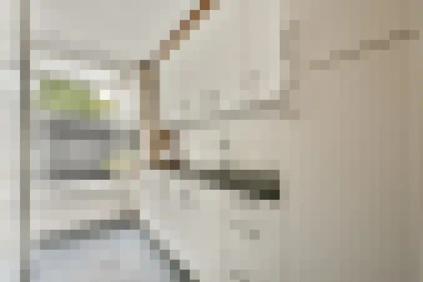 Basilicumhof 39 Duivendrecht thumbnail 8