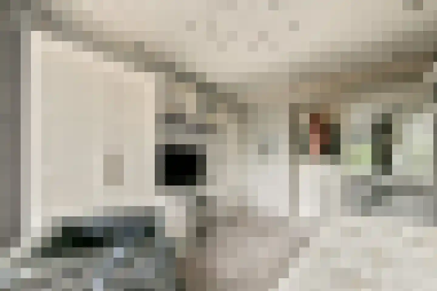 Basilicumhof 40 Duivendrecht thumbnail 33