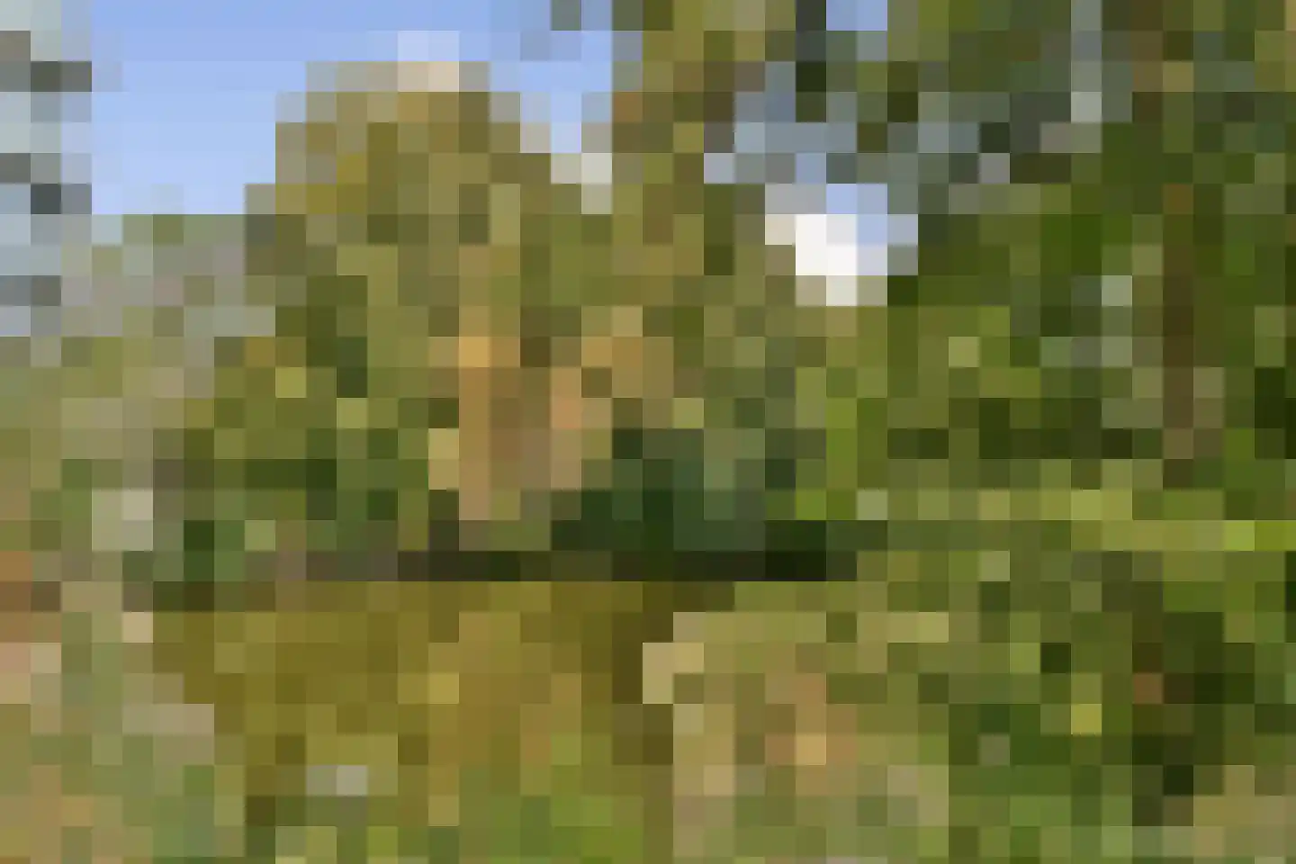 Basilicumhof 40 Duivendrecht thumbnail 41