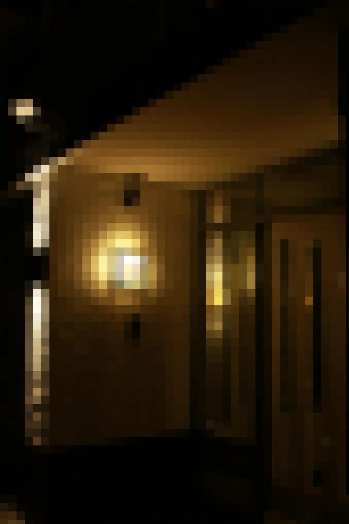 Basilicumhof 40 Duivendrecht thumbnail 47