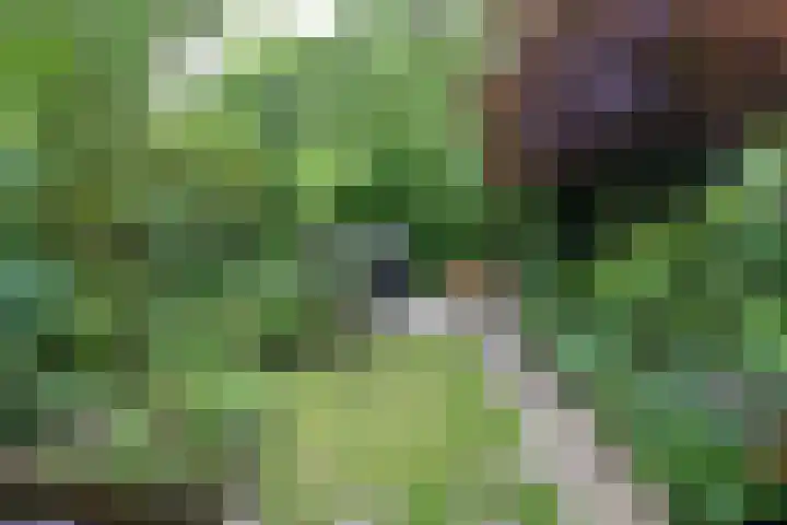 Basilicumhof 48 Duivendrecht thumbnail 10