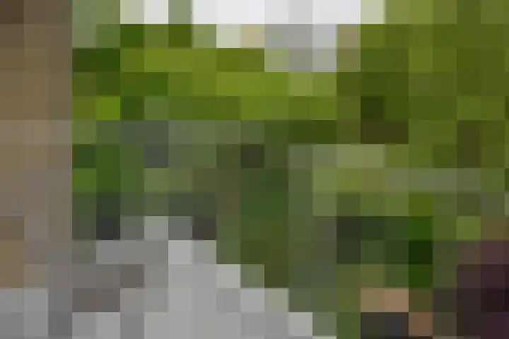 Basilicumhof 48 Duivendrecht thumbnail 20