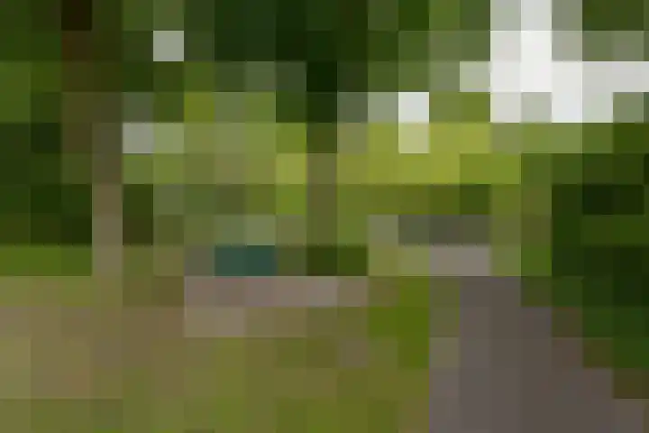 Basilicumhof 48 Duivendrecht thumbnail 33