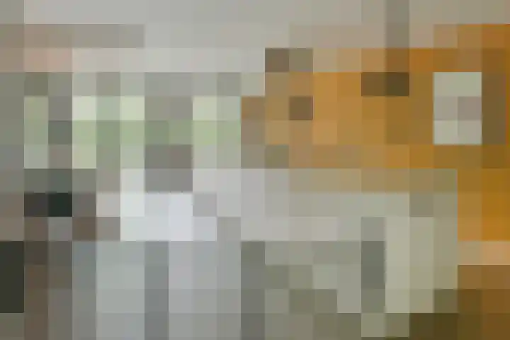 Basilicumhof 48 Duivendrecht thumbnail 5