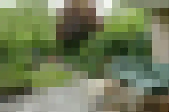 Basilicumhof 48 Duivendrecht thumbnail 9