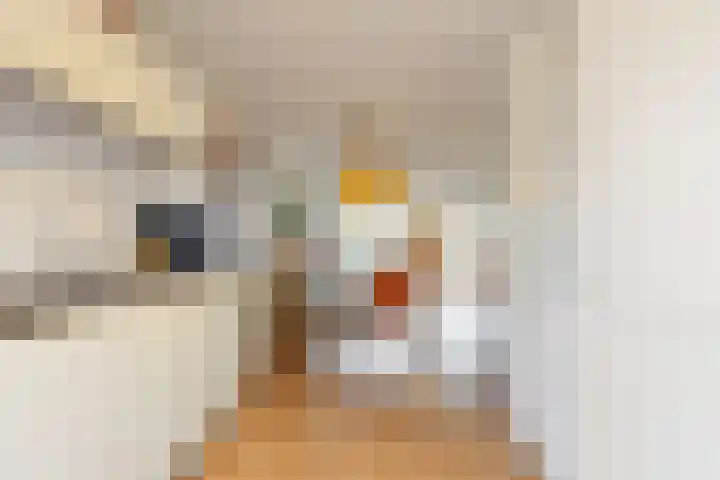 Basilicumstraat 2 Utrecht thumbnail 10