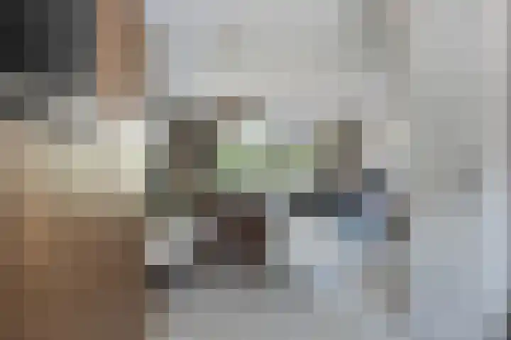 Basilicumveld 11 Schiedam thumbnail 11