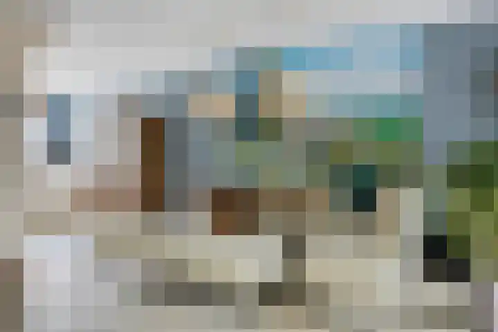 Basilicumveld 11 Schiedam thumbnail 12