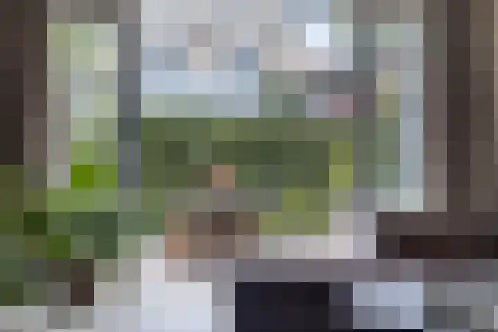 Basilicumveld 11 Schiedam thumbnail 15