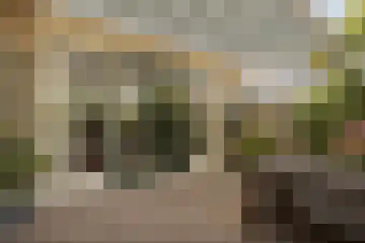 Basilicumveld 11 Schiedam thumbnail 16