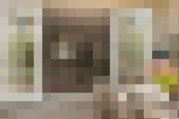 Basilicumveld 11 Schiedam thumbnail 17
