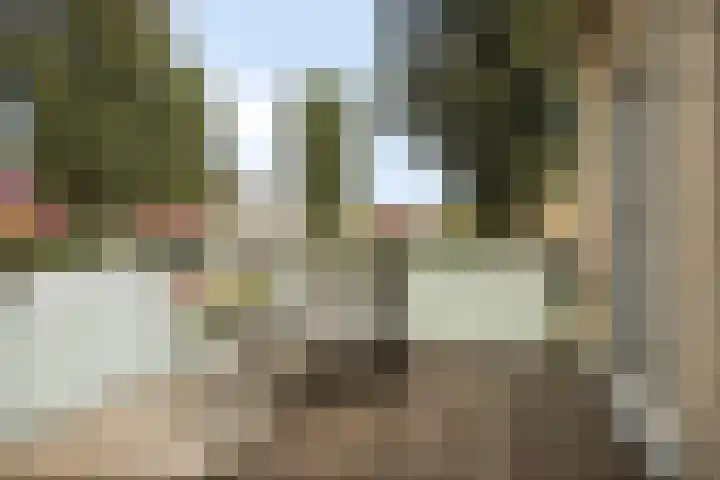 Basilicumveld 11 Schiedam thumbnail 26