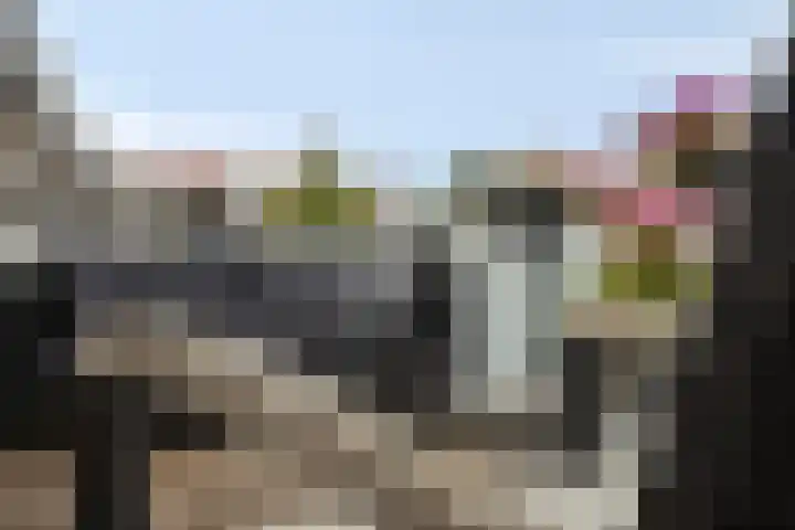 Basilicumveld 11 Schiedam thumbnail 28