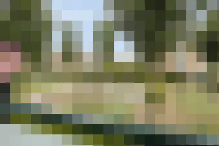 Basilicumveld 11 Schiedam thumbnail 29
