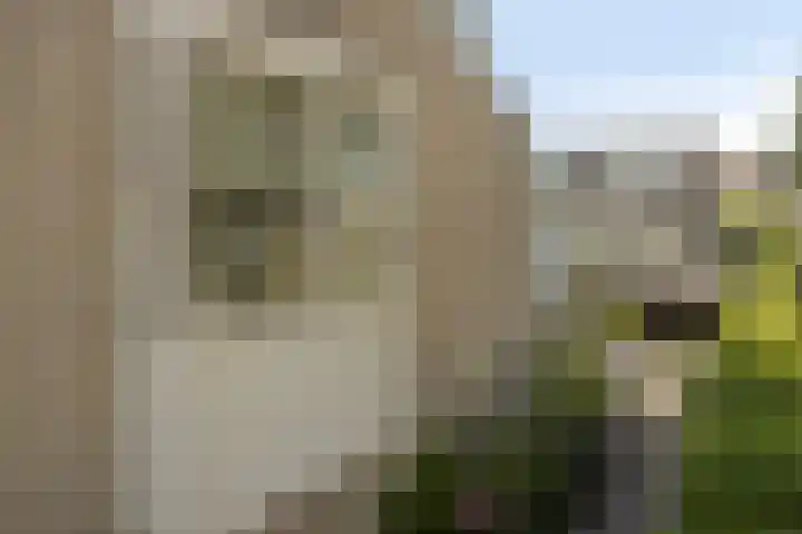 Basilicumveld 11 Schiedam thumbnail 35