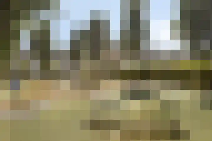 Basilicumveld 11 Schiedam thumbnail 36