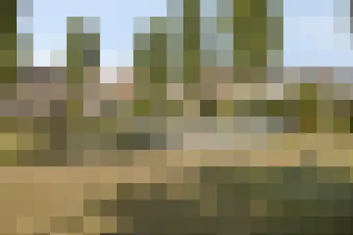Basilicumveld 11 Schiedam thumbnail 37