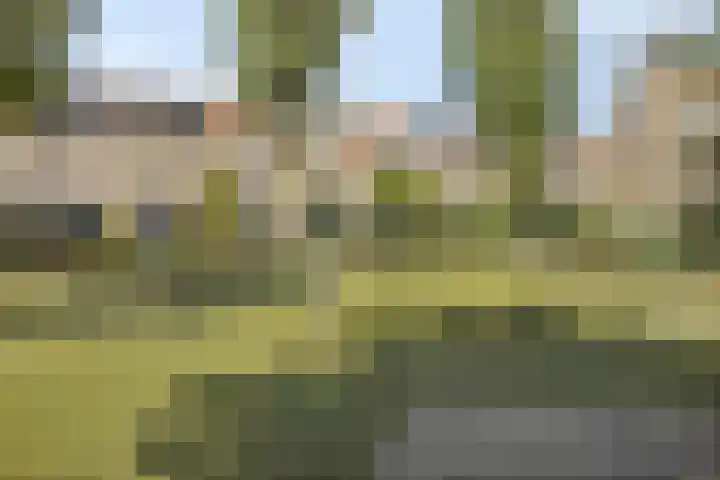 Basilicumveld 11 Schiedam thumbnail 38