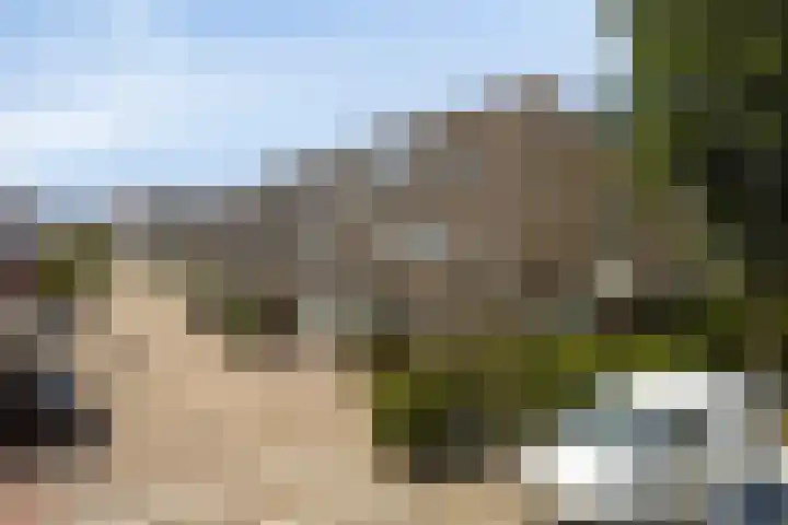 Basilicumveld 11 Schiedam thumbnail 39