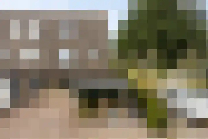 Basilicumveld 11 Schiedam thumbnail 40